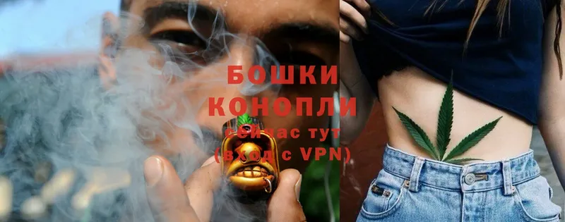 Бошки марихуана THC 21%  купить  сайты  Заринск 